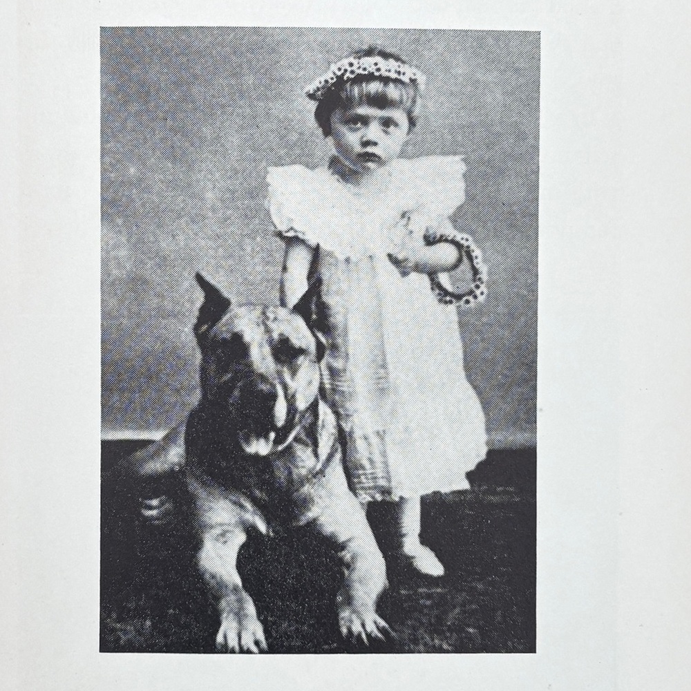 1936 All the Dogs of My Life by Elizabeth Memoir Canine London Widowhood WWI Dog